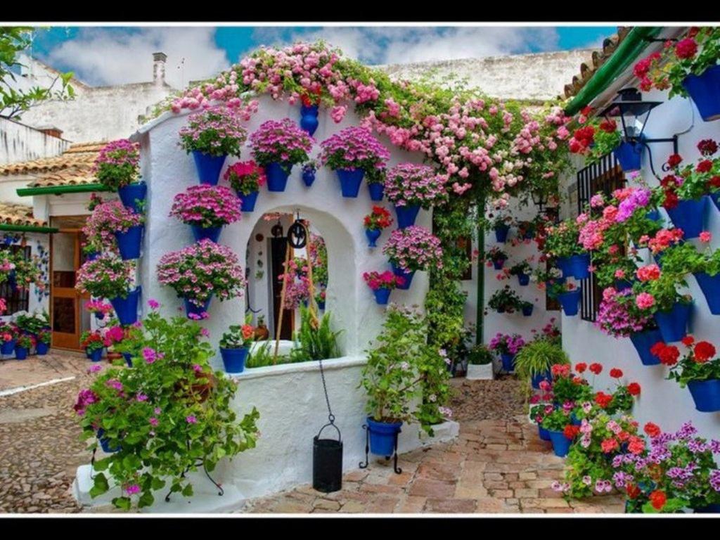 Aries Apartamento *